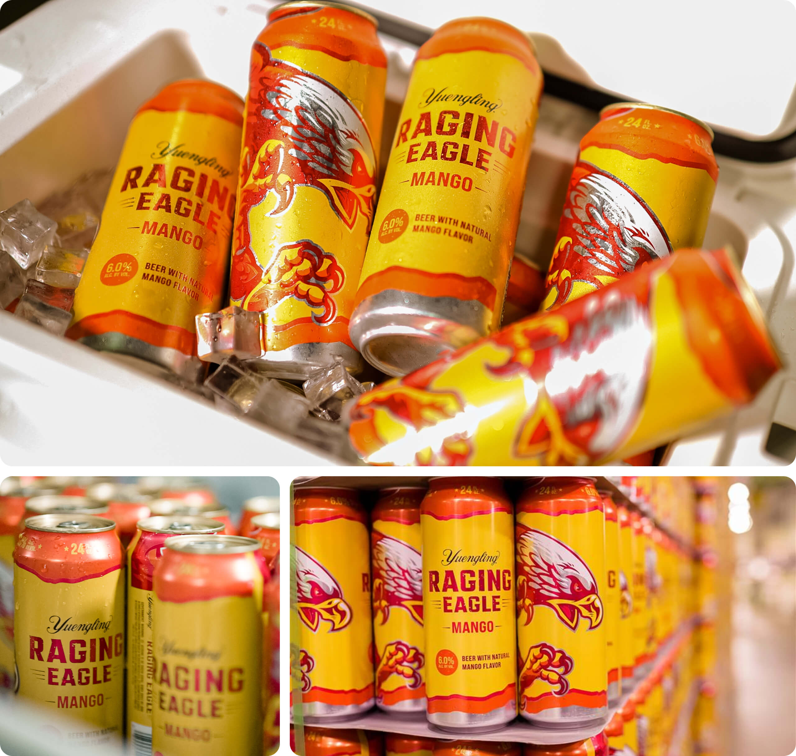 Yuengling Raging Eagle