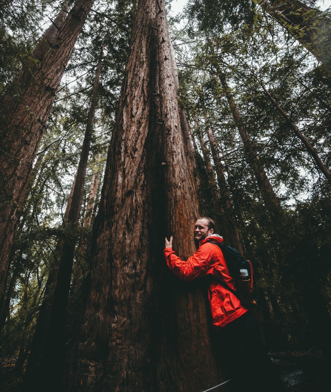 013 for tree tree may22