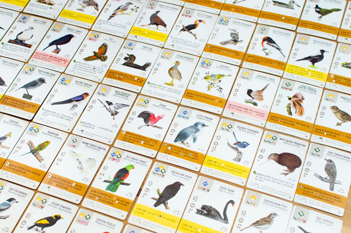 Fesztáv: Óceániai madarok kiegészítő - új madárkártyák