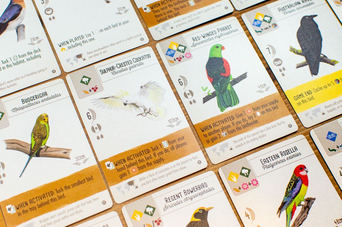 Fesztáv: Óceániai madarok kiegészítő - papagáj kártyák