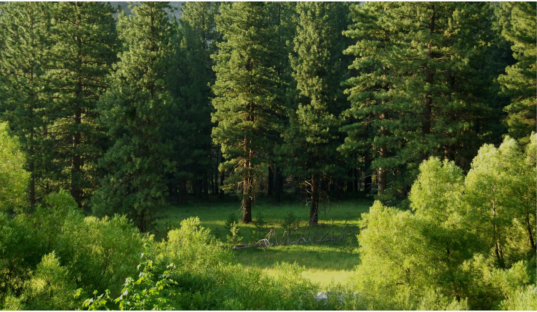 About Us > Doing better for our planet