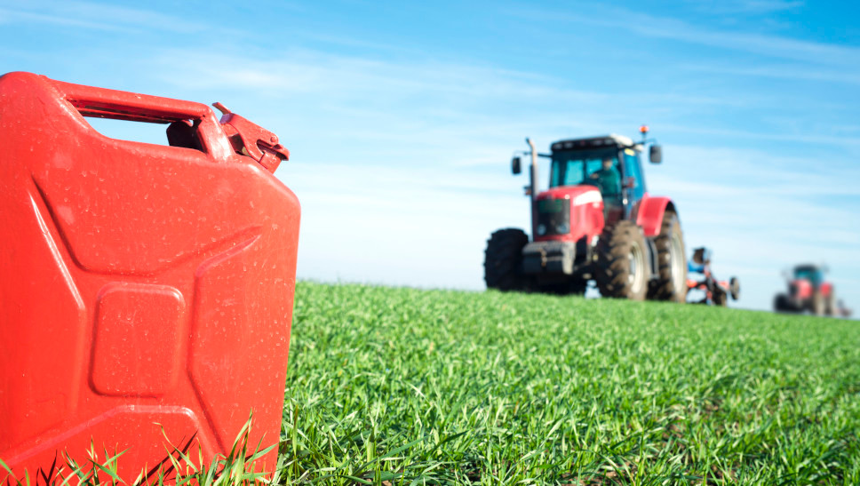 Bio-Fuels: Alles zu pflanzlichen Kraftstoffen auf Biomasse-Basis