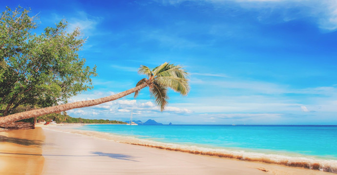 beach-2528635 1920