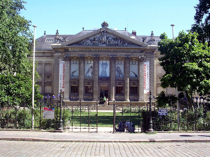 Museum Histoire Naturelle Nantes