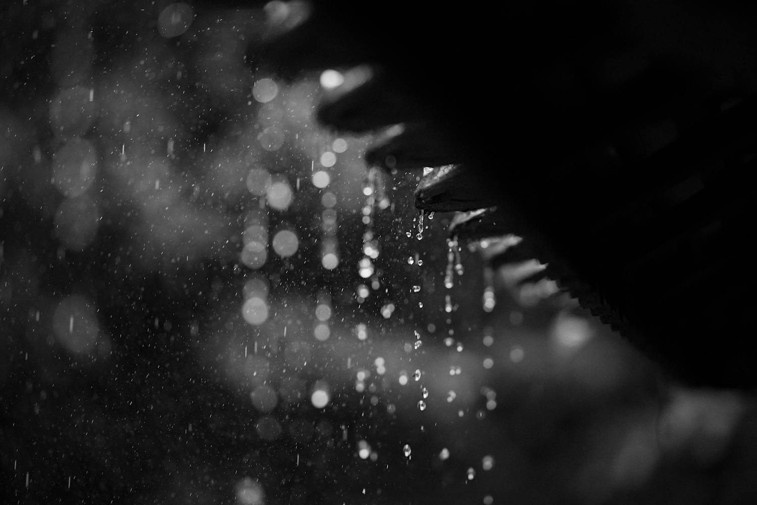 How to Protect Your Roof Before a Storm