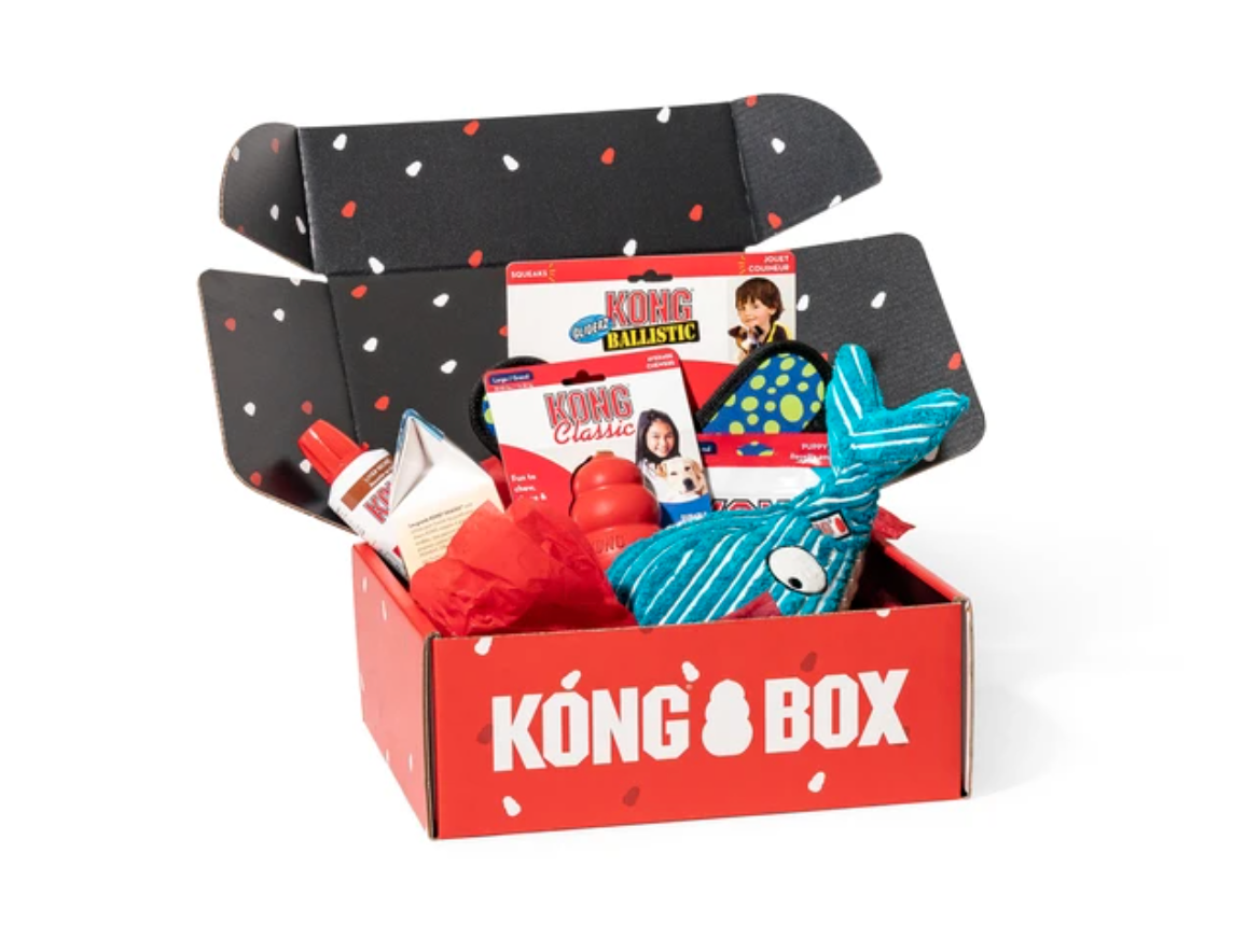 KONG box example of great customer experience on ecommerce | Pattern Blog
