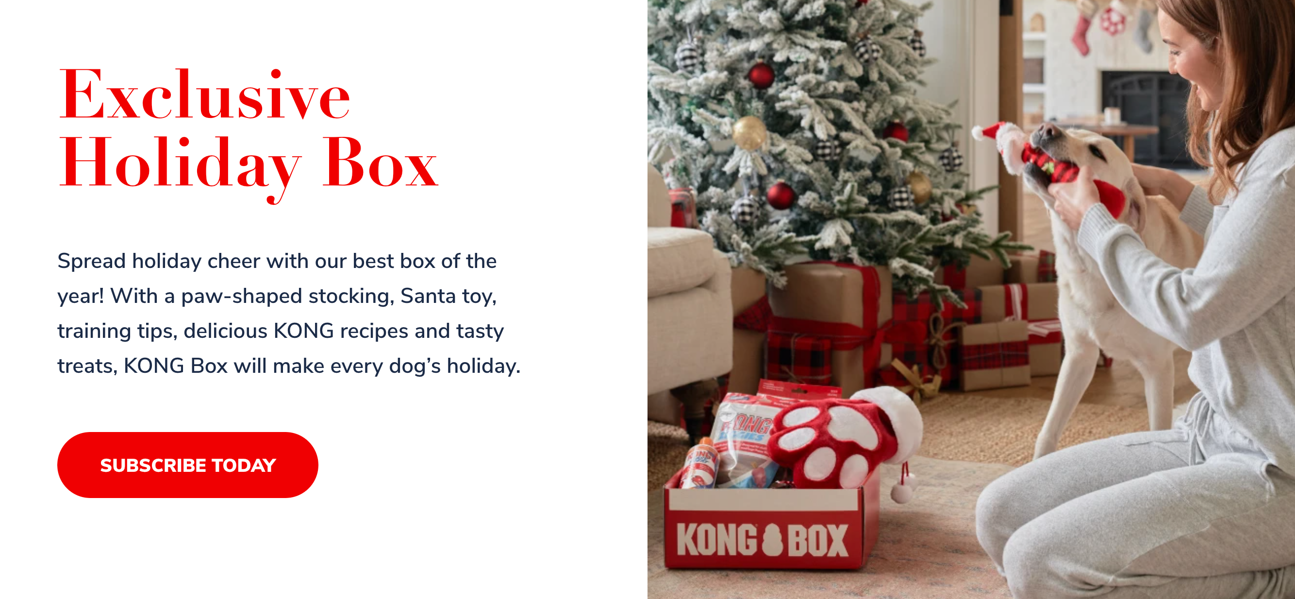 KONG Box case study example of great customer experience on ecommerce | Pattern Blog