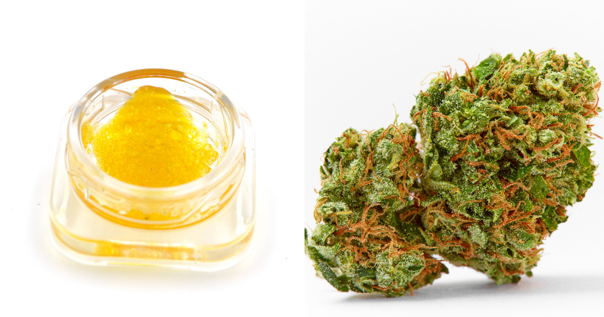 Dry Herb vs. Concentrate