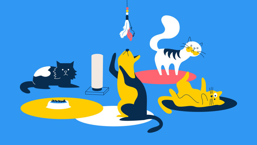Diseñando con un prrropósito: Lecciones inspiradas por gatitos