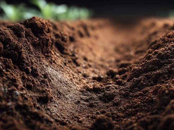 Soil health
