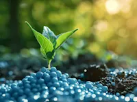 Biodegradable polymer fertilizer on soil at base of plant