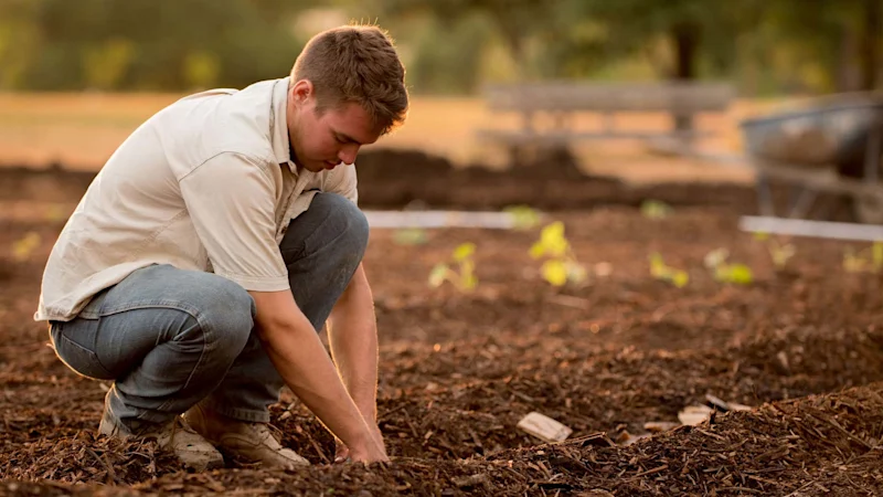 Farmer planting seeds in soil