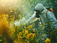 Person spraying pyrinex chlorpyrifos insecticide