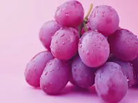 Bunch of purple grapes