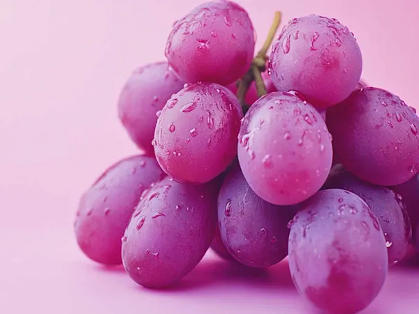 Bunch of purple grapes