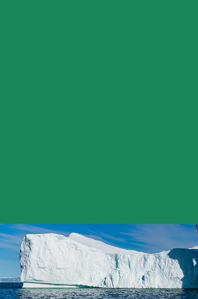 Discover Our Products