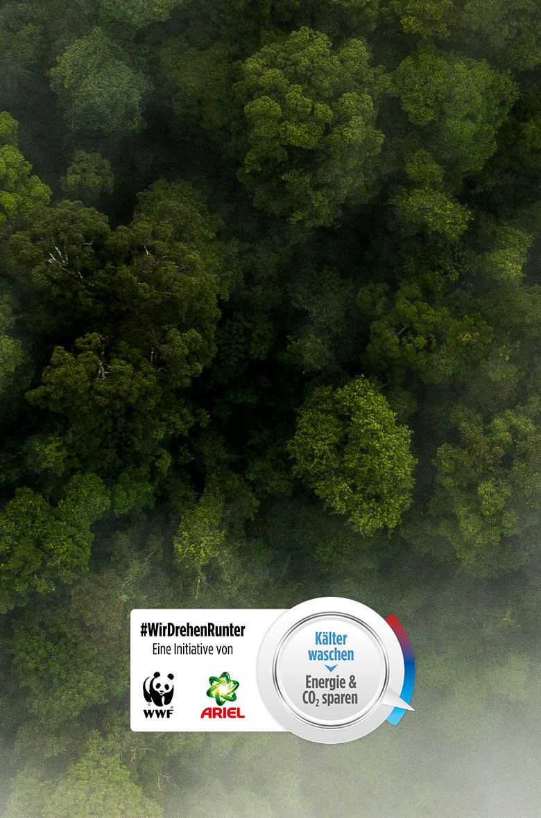 #WirDrehenRunter Eine Initiative von WWF Ariel. Kälter waschen, Energie & CO₂ sparen, Klima schützen. EINE PARTNERSCHAFT FÜR NACHHALTIGERES WASCHEN