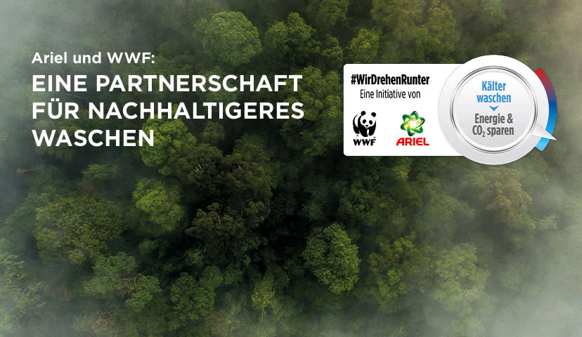 Ariel und WWF: EINE PARTNERSCHAFT FÜR NACHHALTIGERES WASCHEN