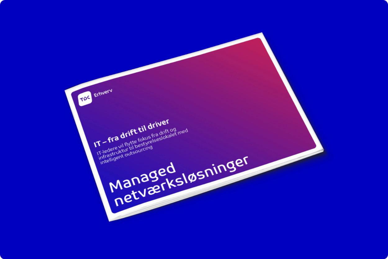 Rapport: Managed Netværksløsninger