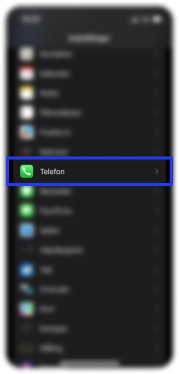 Viser telefon i indstillinger på iPhone