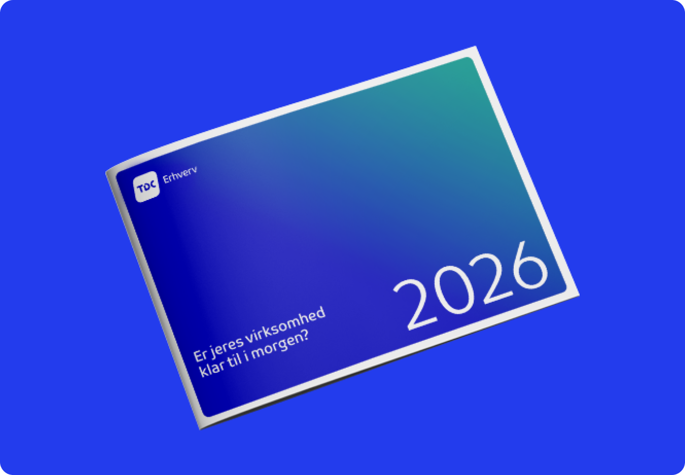 TDC_Erhverv_IPSOS_2026_cover_1352x938