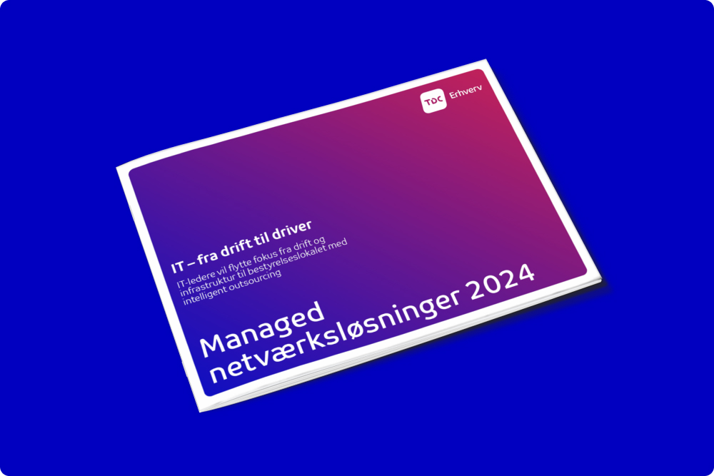 TDC_Erhverv_ManagedNetworkDK_1000x667_242