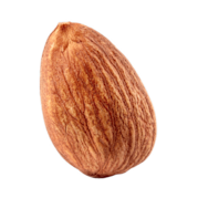 An almond.
