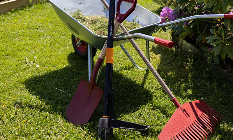 Grå trillebår med gress, rød spade, rive og greip på solfylt plen ved rosa rhododendron.