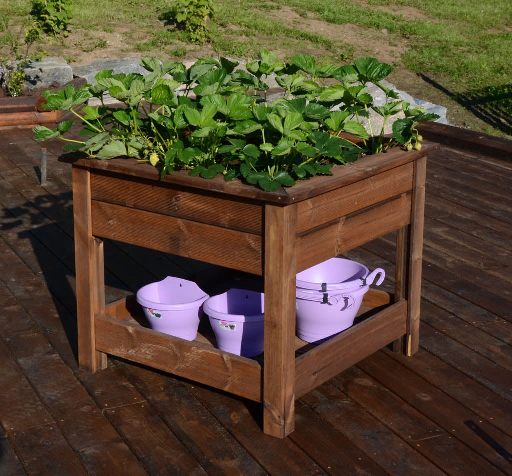 Høy plantekasse i tre med grønne jordbærblader, lilla bøtter nederst på terrasse