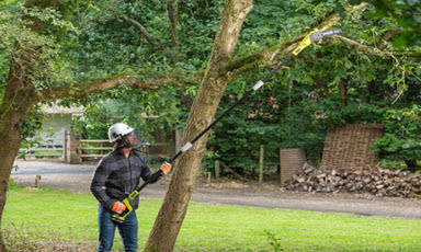 Mann i hvit hjelm og mørk skjorte beskjærer tregren med lang motorsagsstang i grønn hage.