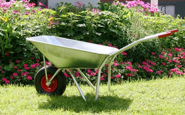 Sølvfarget trillebår med rødt hjul på grønt gress foran rosa blomsterhekk.