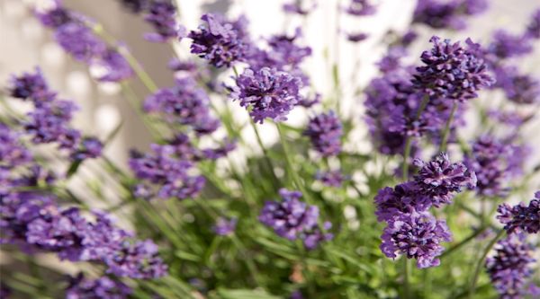 Byggmakker hero banner