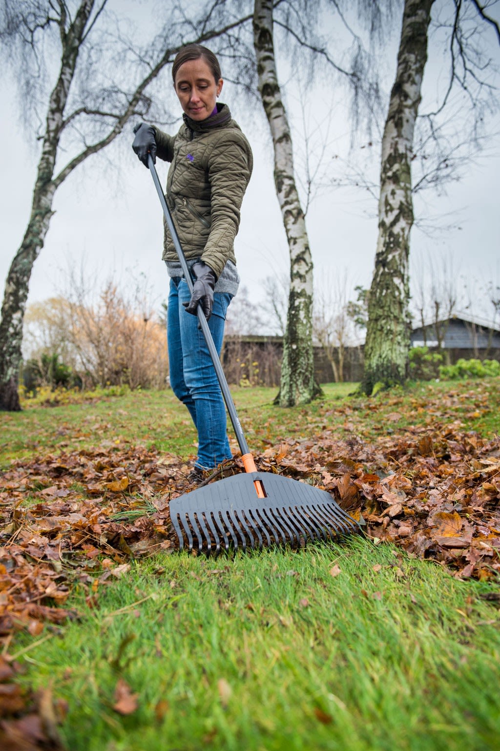 Person i grønn jakke og jeans river gressplen for høstblader med grå-oransje rake under bjørketrær