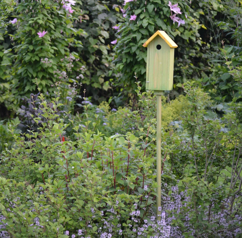 Grønt fuglehus med gult tak på stolpe i frodig hage med lilla blomster.