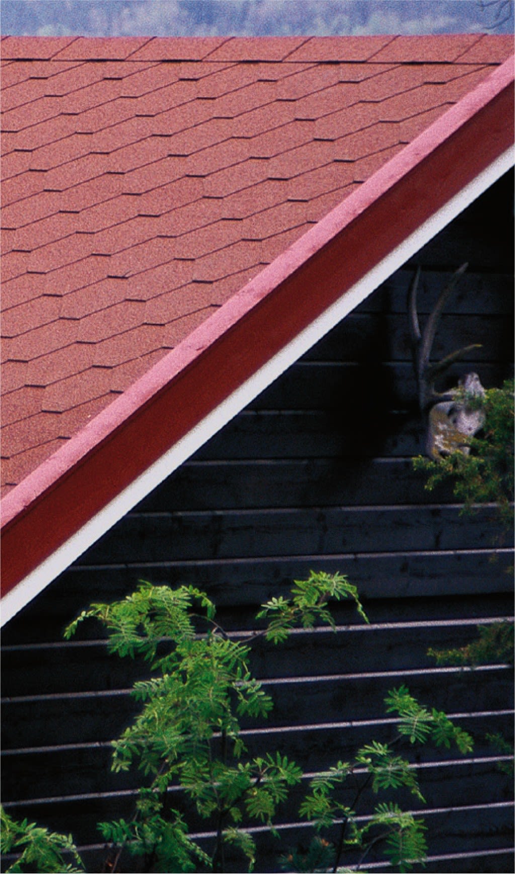 Skrått rødt tak med takstein, mørk trevegg, hjortehode på vegg og grønt løvverk.