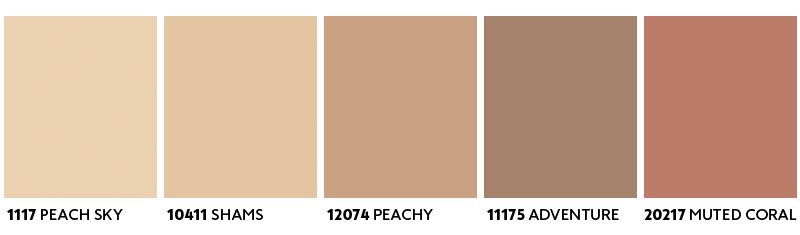 Seksdelte gradient fra lys beige til mørk rødbrun, illustrerer en hudtoneskala.