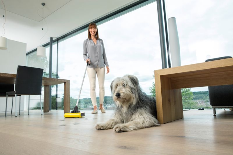 Langhåret grå-hvit hund på lyst tregulv, person vasker med gul mopp i stue med store glassvinduer.