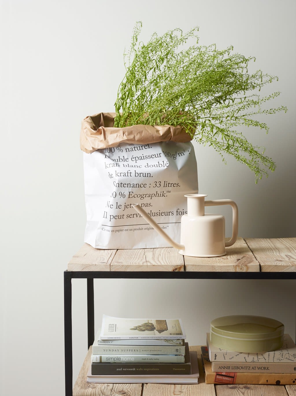 Hvit papirpose med spinkel grønn plante på lyst trebord, beige vannkanne og bøker.