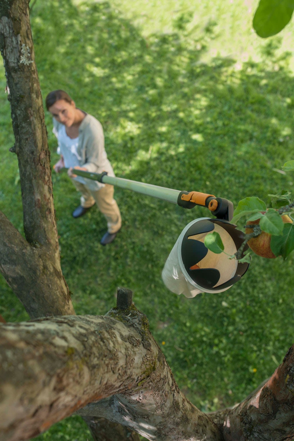 Person på plen samler epler fra tre med lang fruktplukker og kurv, grønt gress i bakgrunnen