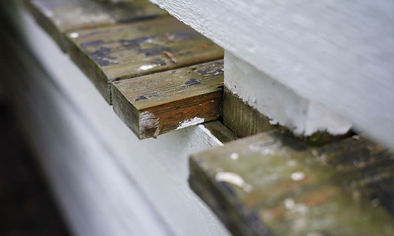 Nærbilde av slitt, fuktig treverk med grønne moseflekker på hvitmalte lekter