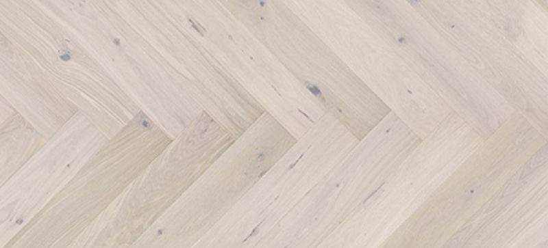 Cello-capp-fisk-800x480