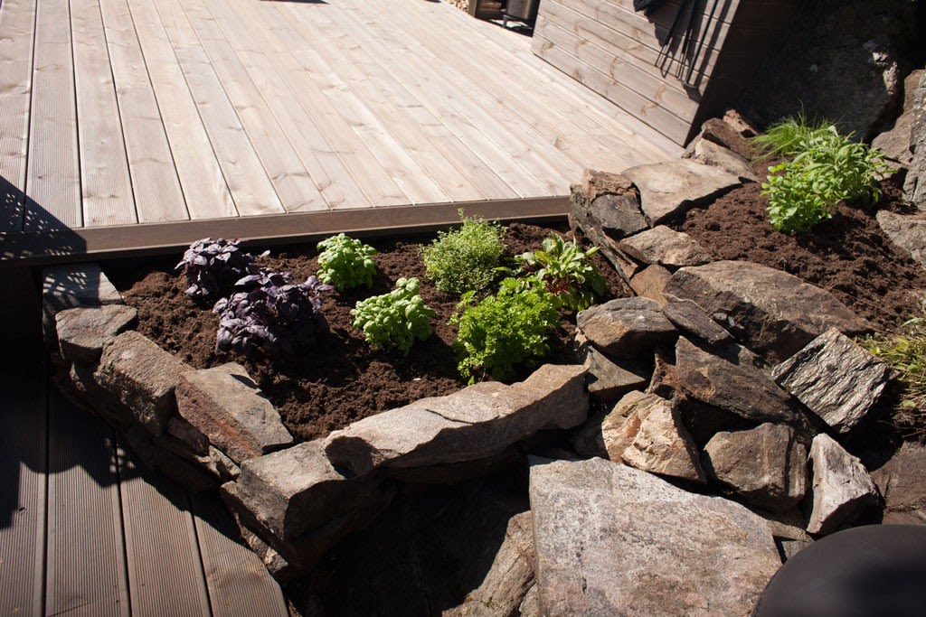 Steinkantet bed med grønne og lilla urter ved lyst tredekke