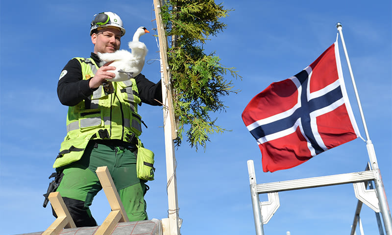 Arbeider i grønt stillas holder hvit gås ved grønne ranker og norsk flagg mot blå himmel