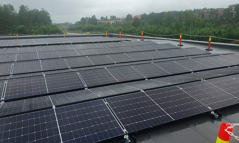 Mørke solcellepaneler på vått tak med røde og gule sikkerhetsstolper, grønn skog og grå himmel.