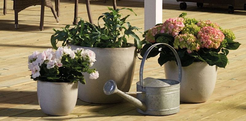 Tre beige potter med lyserosa blomster, grønne blader og vannkanne på solbelyst terrasse.