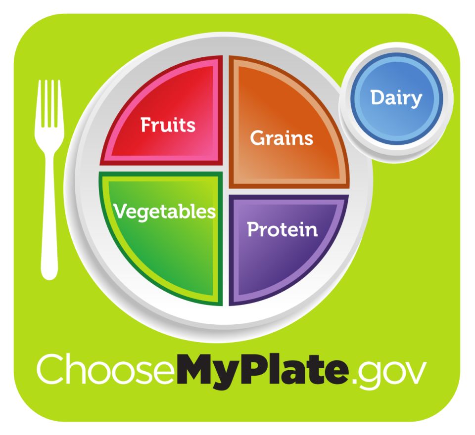 Choose my plate - fruit, vegetables, grains, protein, dairy