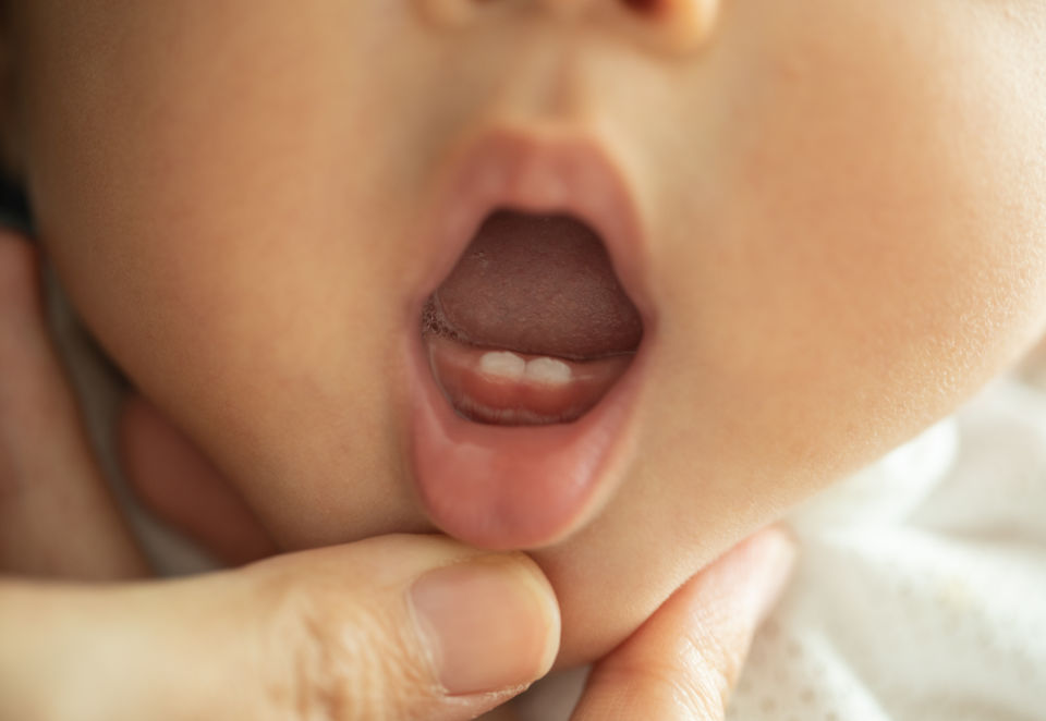 Baby with open mouth and two bottom teeth