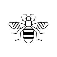 Bee network icon