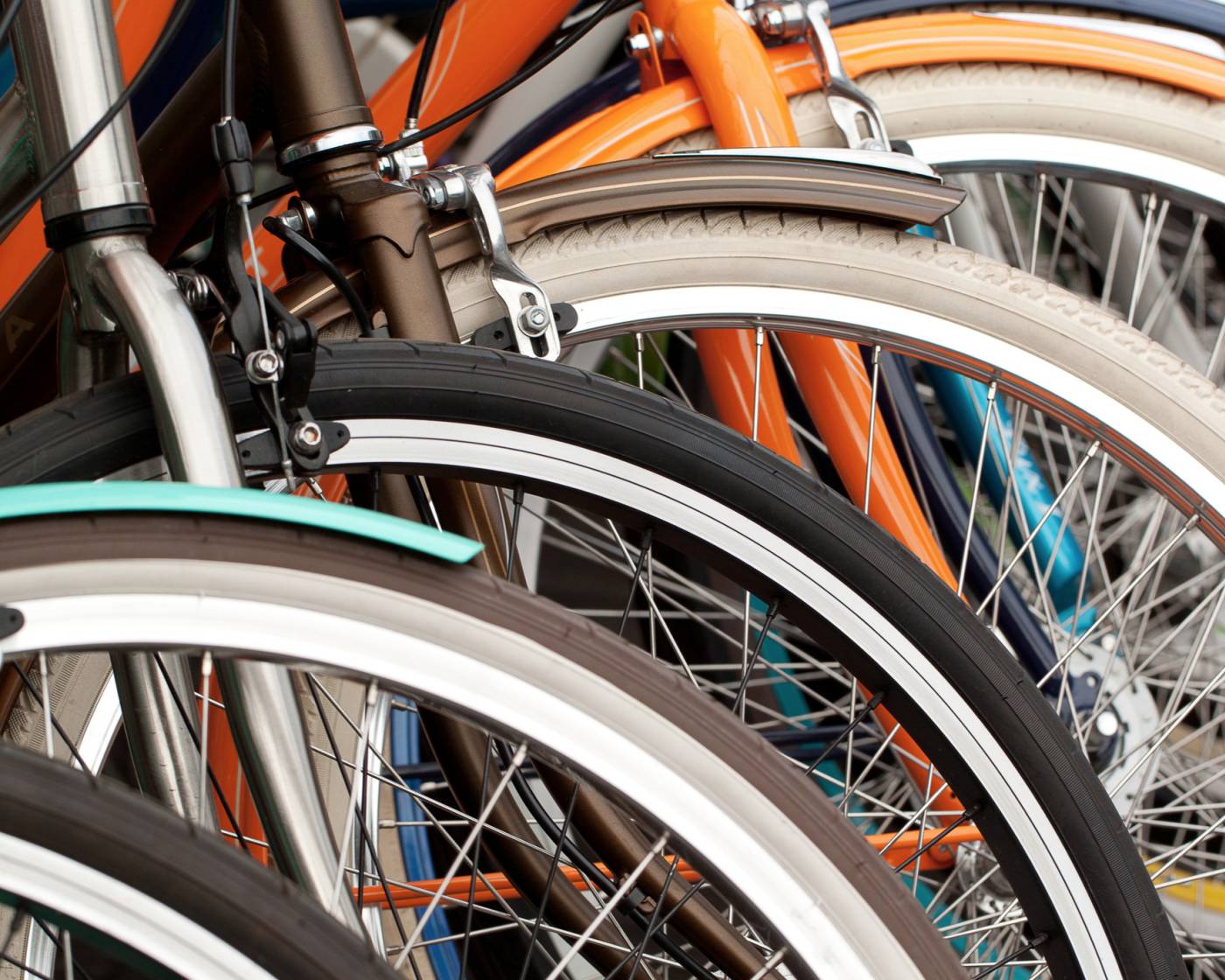 Rack of bike wheels at a bike shop