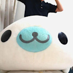 しろたん